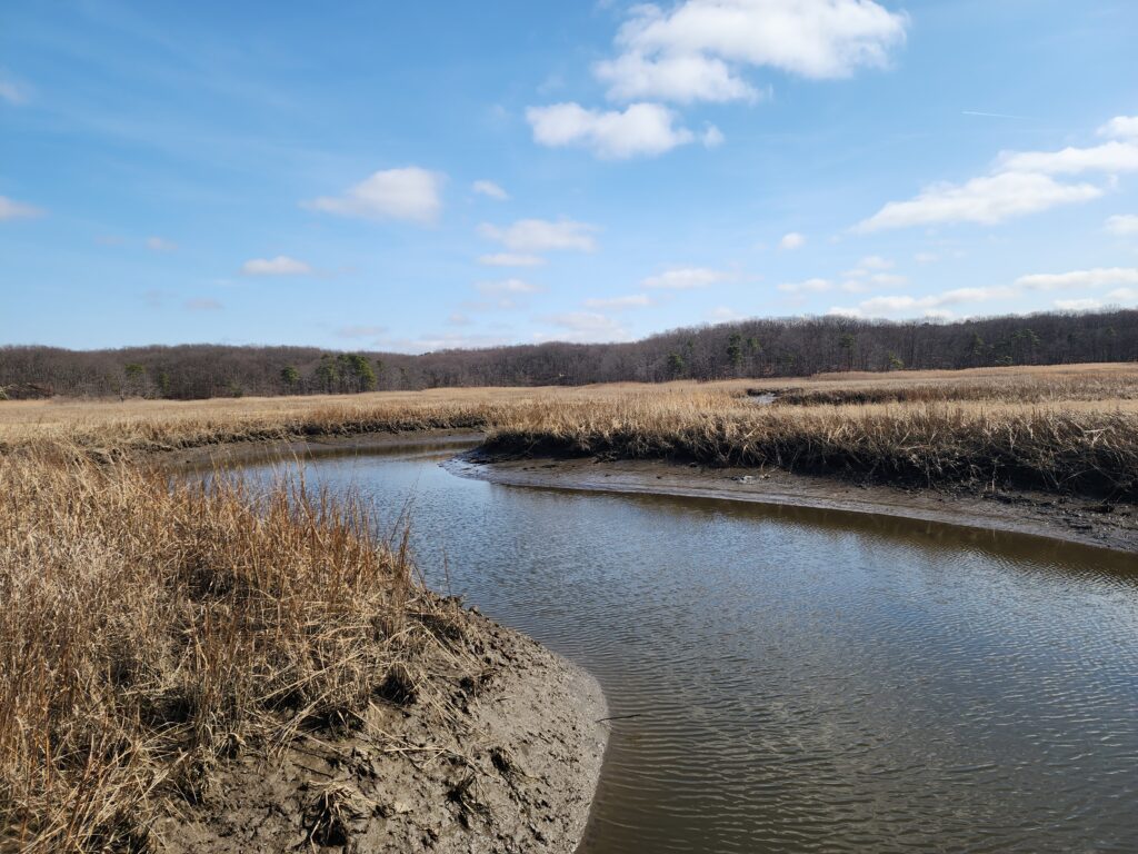 a river with grass and trees (MyCoast AI)
