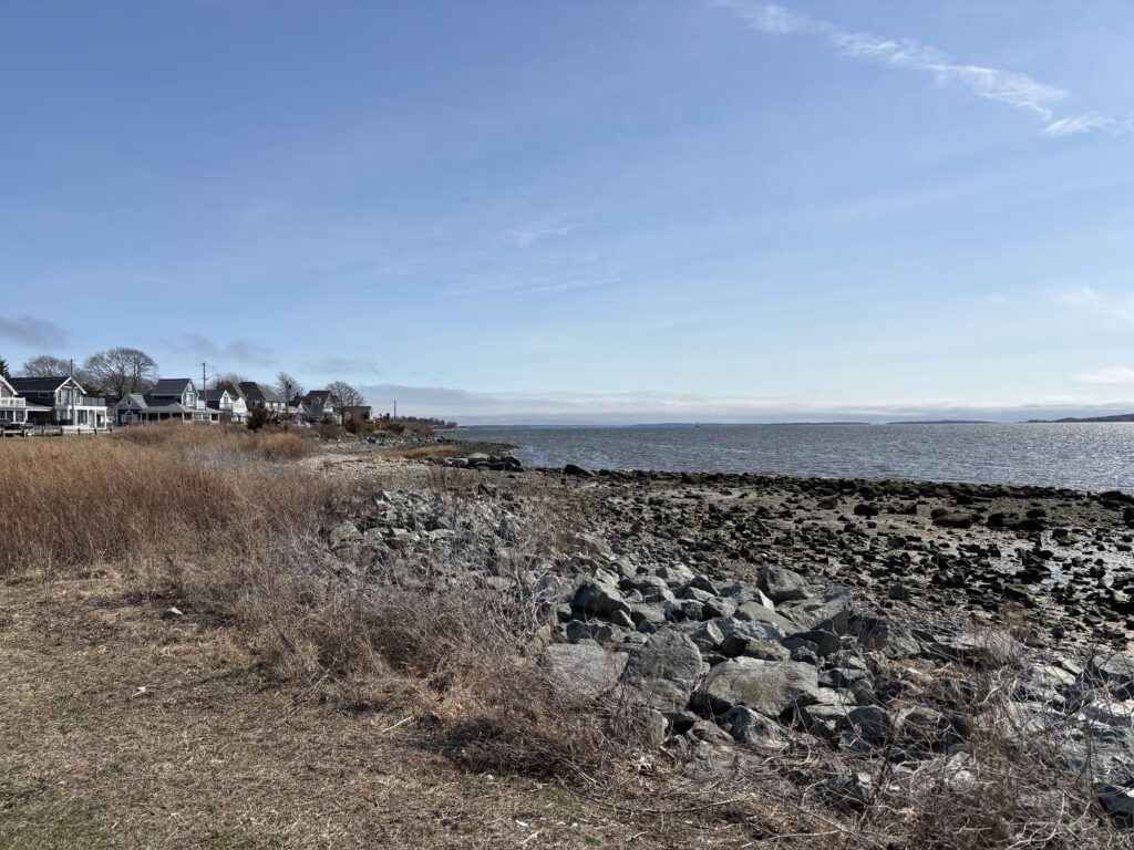 a rocky beach with houses in the background (MyCoast AI)