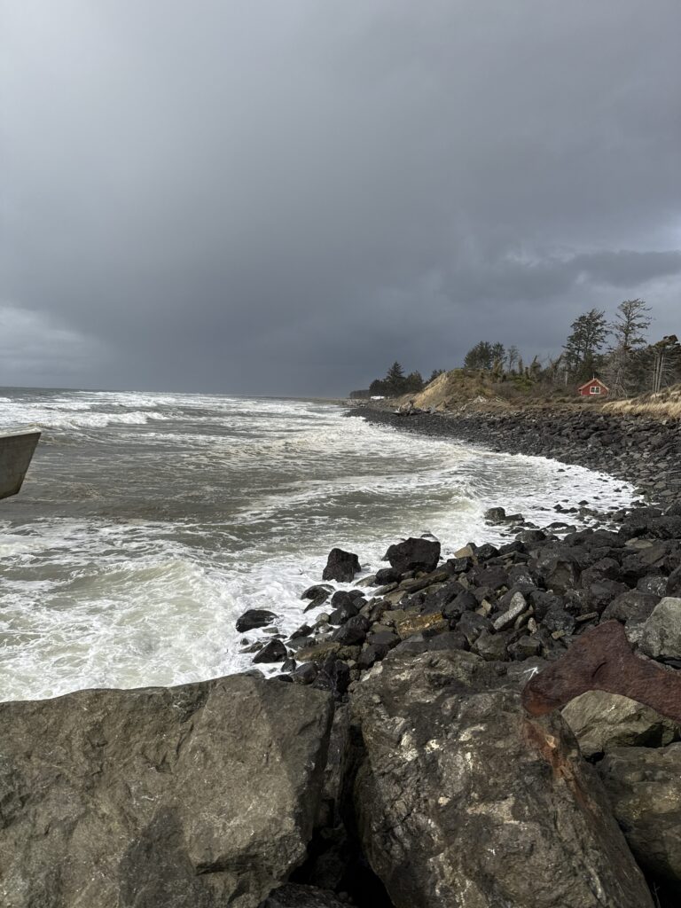 a rocky beach with a body of water and trees in the background (MyCoast AI)
