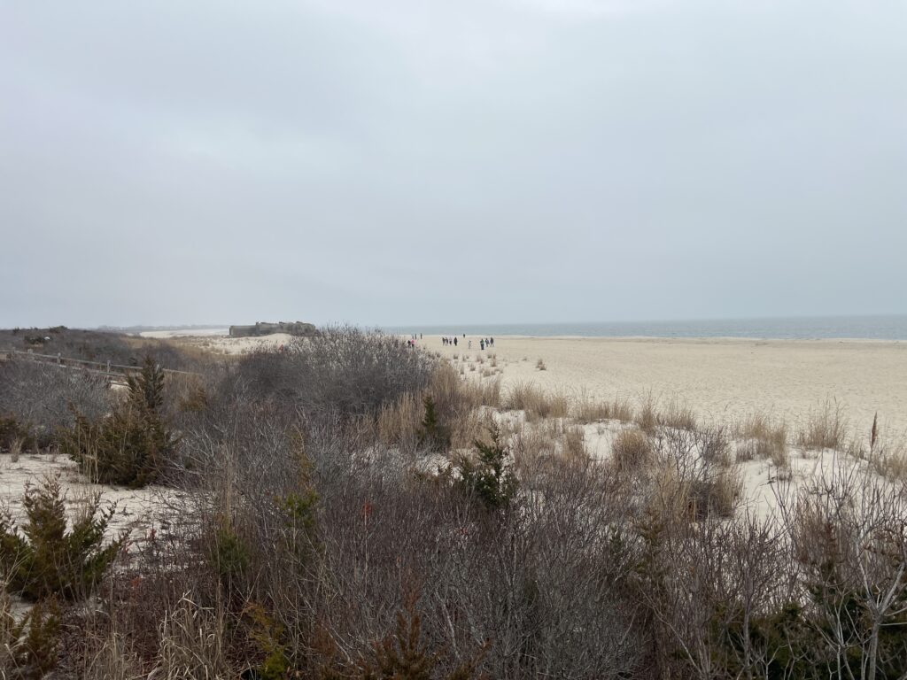 a field of dry grass (MyCoast AI)