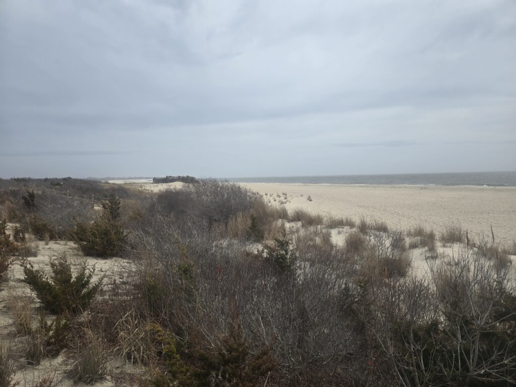 a landscape with bushes and trees (MyCoast AI)