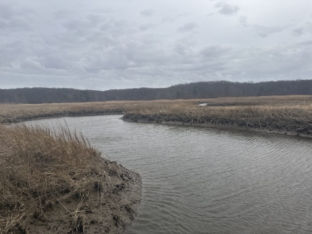 a body of water with grass and trees around it (MyCoast AI)