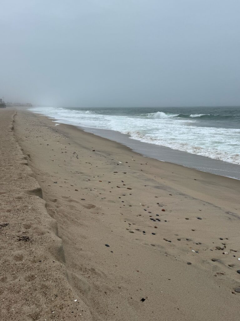 a sandy beach with waves crashing (MyCoast AI)