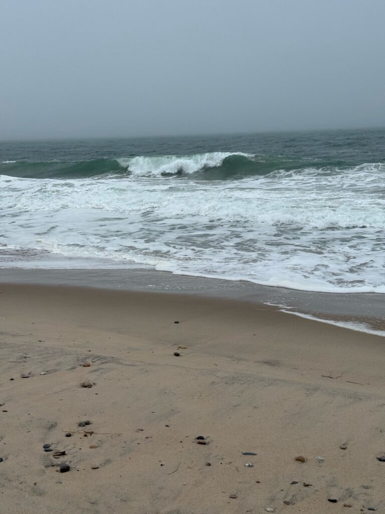 waves crashing on a beach (MyCoast AI)