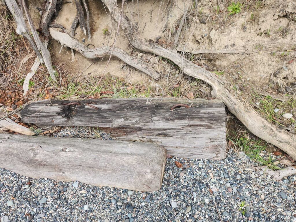 a wooden bench on a rocky ground (MyCoast AI)