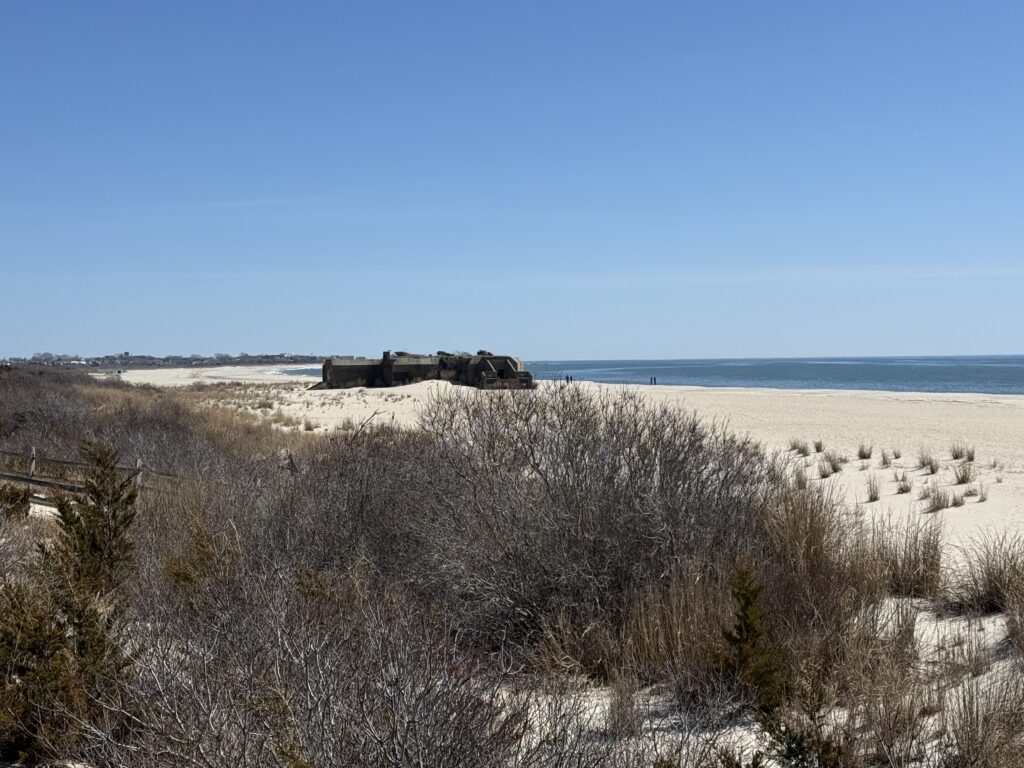 a sandy beach with bushes and a building in the distance (MyCoast AI)
