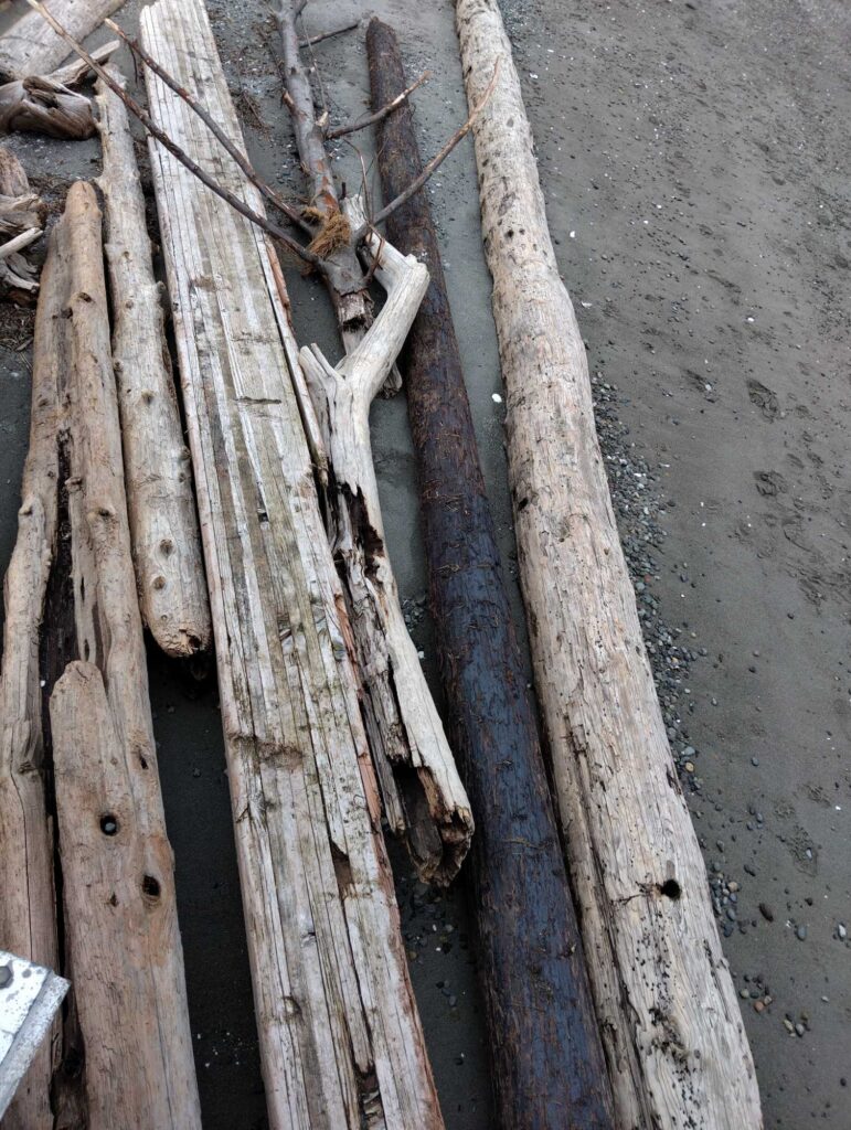 a group of sticks on a wooden surface (MyCoast AI)