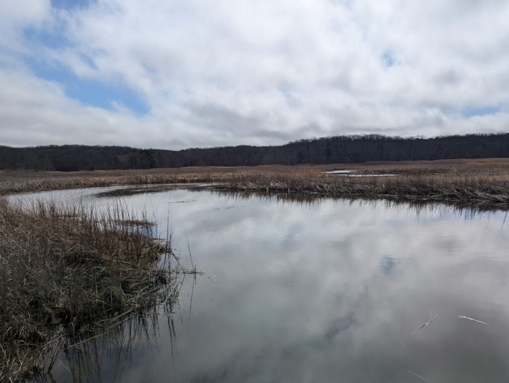 a lake with trees in the background (MyCoast AI)