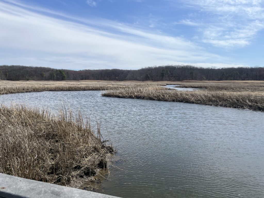 a body of water with grass and trees around it (MyCoast AI)