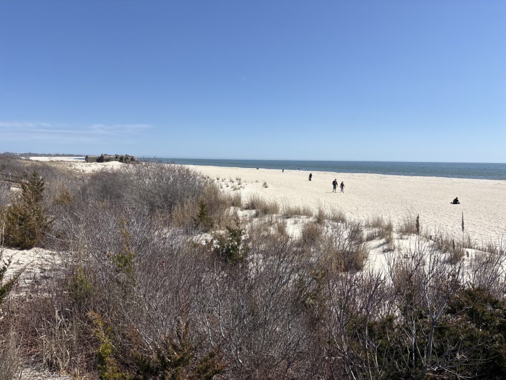 a group of people walking on a sandy beach (MyCoast AI)