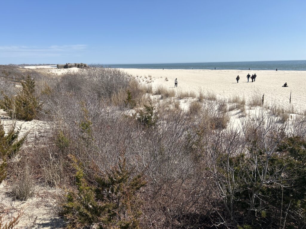 a group of people walking on a sandy beach (MyCoast AI)