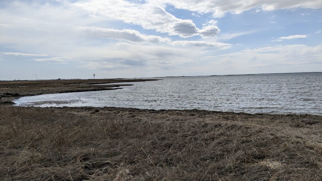 a beach with grass and water (MyCoast AI)