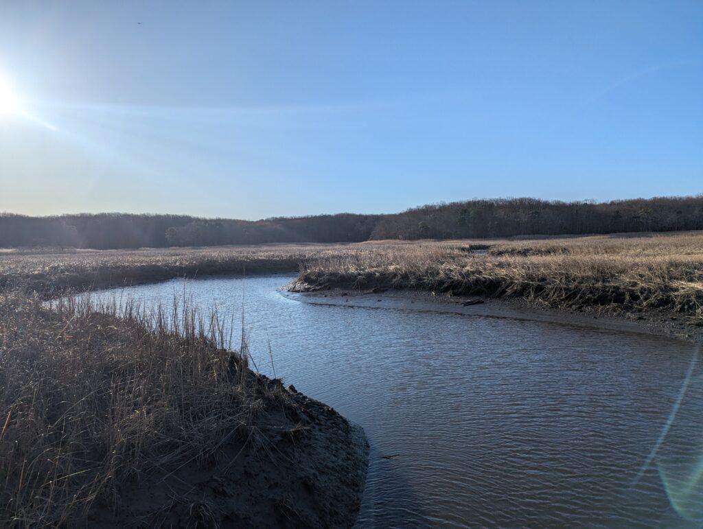 a river with grass and trees (MyCoast AI)