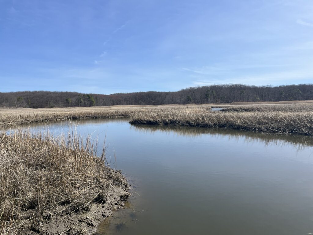 a body of water with grass and trees around it (MyCoast AI)