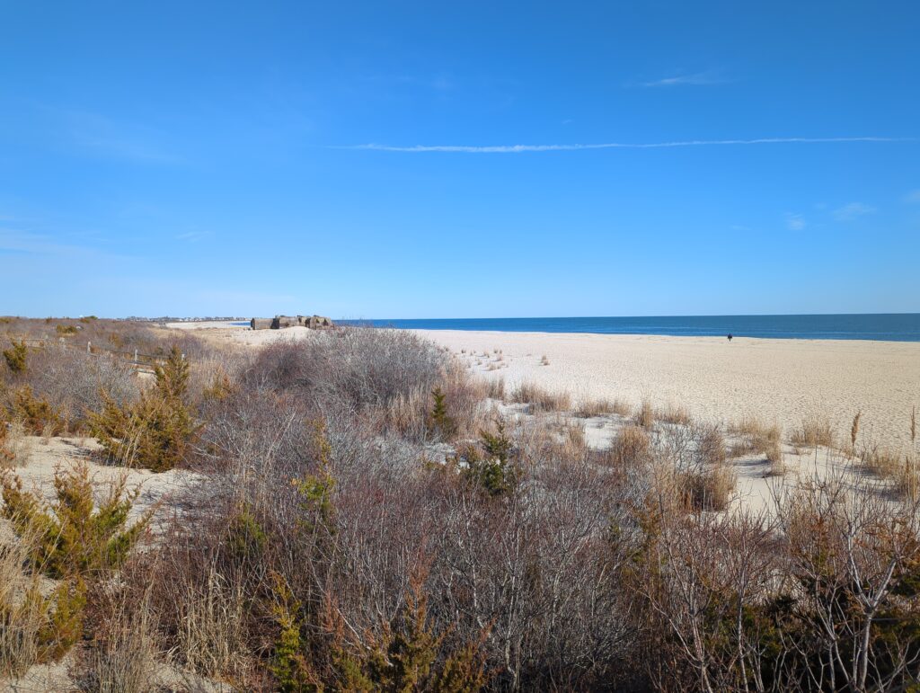 a field of dry grass (MyCoast AI)