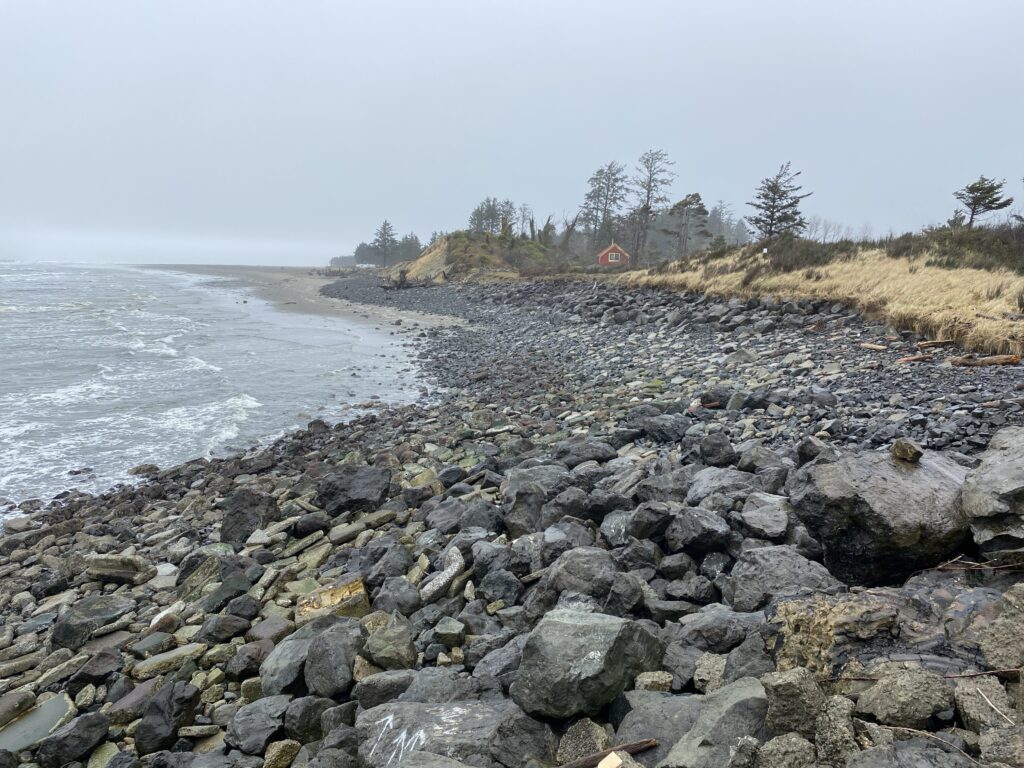 a rocky beach with trees and a body of water (MyCoast AI)