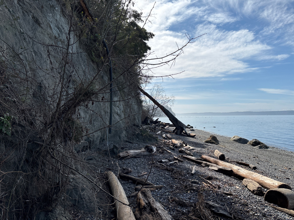 a rocky beach with trees and a body of water in the background (MyCoast AI)
