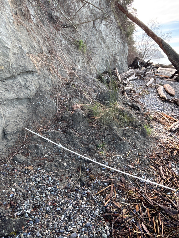 a rocky area with a stream running through it (MyCoast AI)