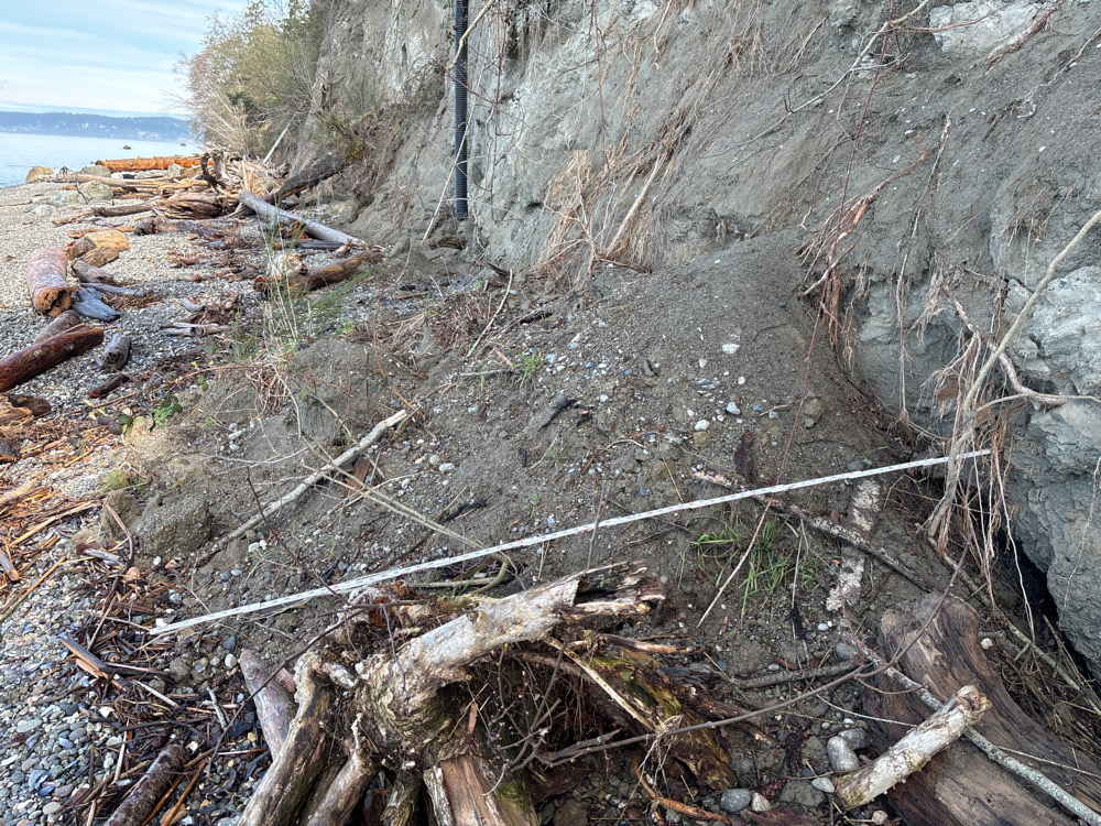 a pile of wood and sticks (MyCoast AI)