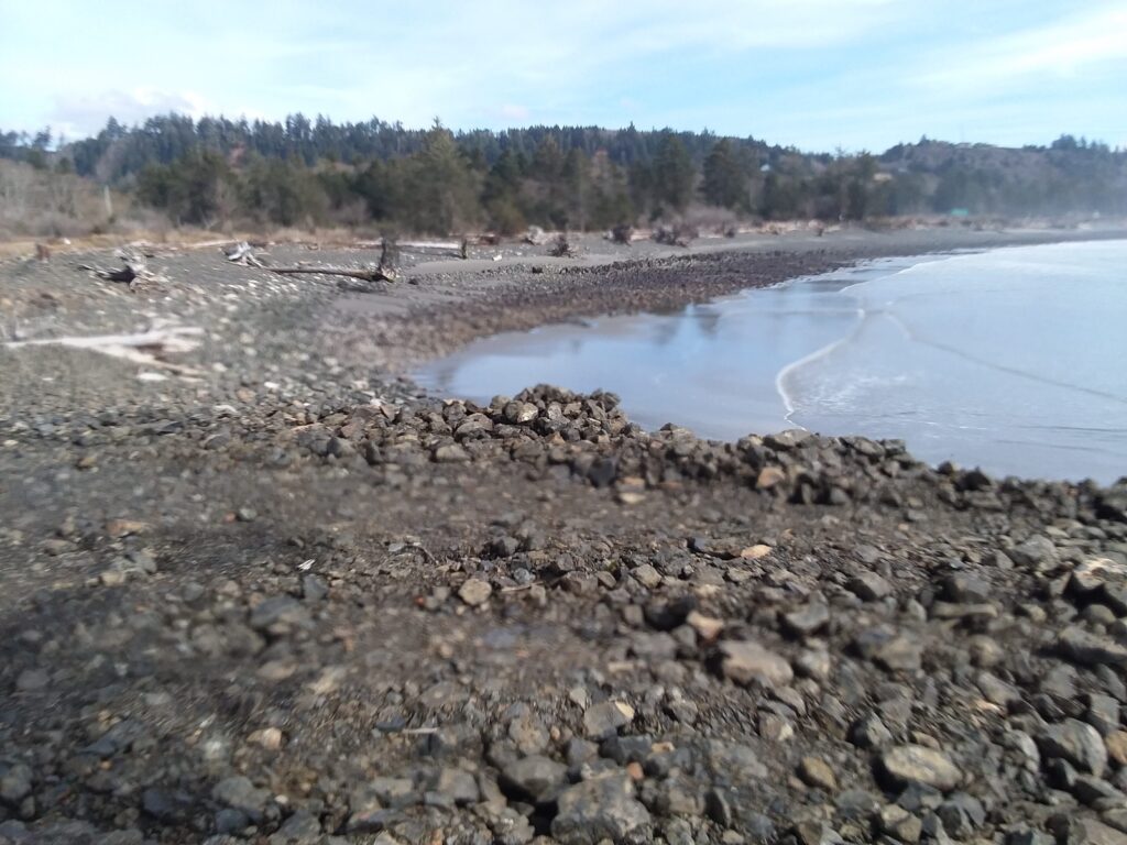 a rocky beach with a body of water and trees in the background (MyCoast AI)