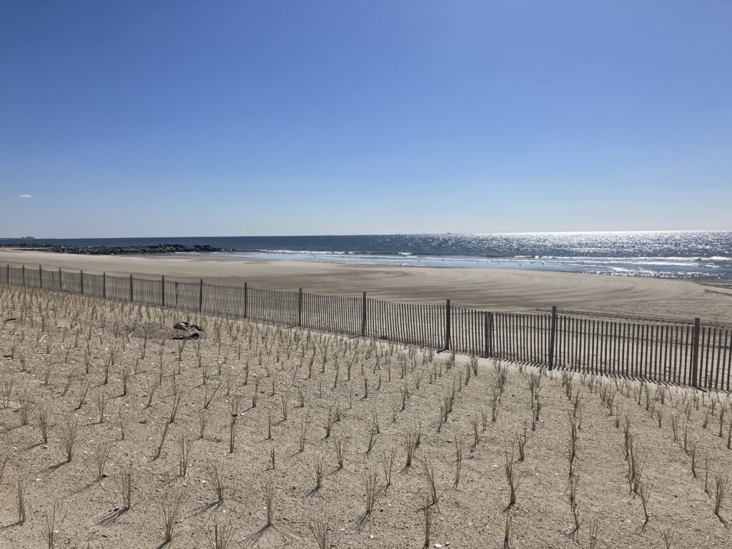 a sandy beach with a fence (MyCoast AI)
