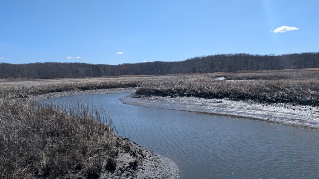a river with snow on the banks (MyCoast AI)