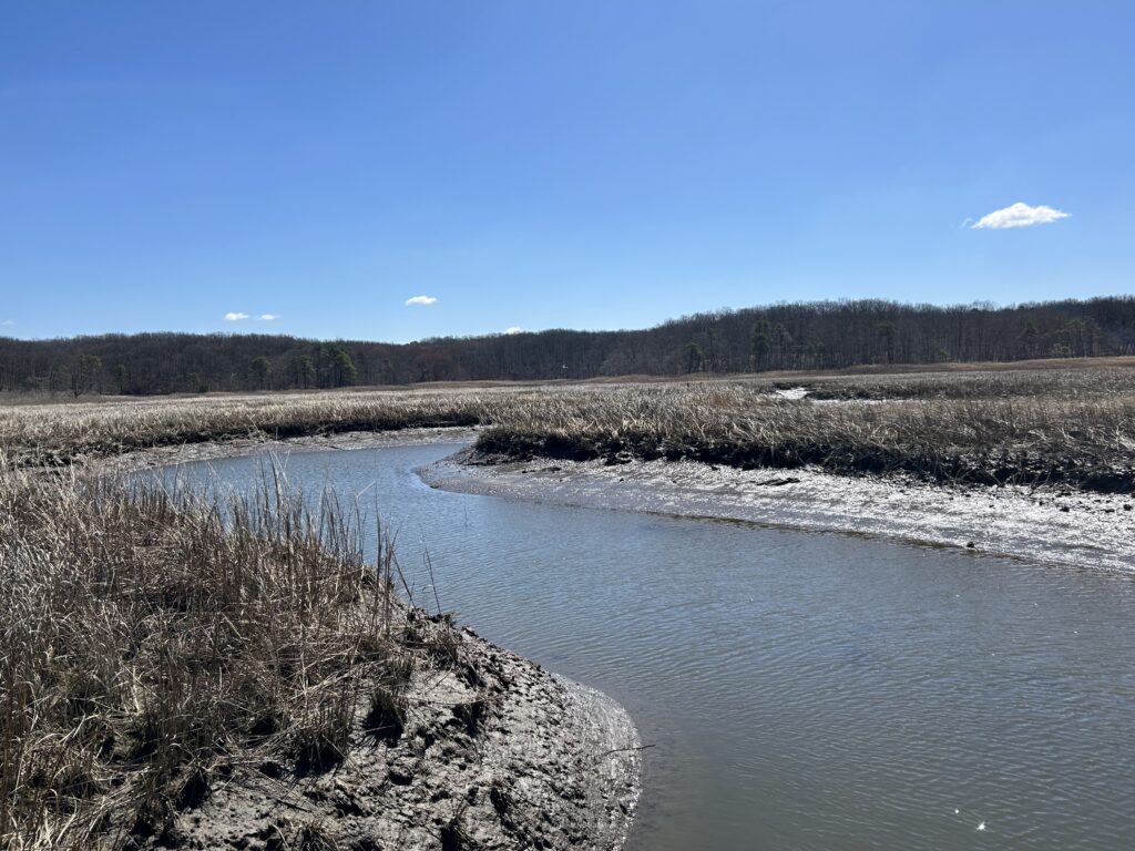 a river with snow and trees (MyCoast AI)
