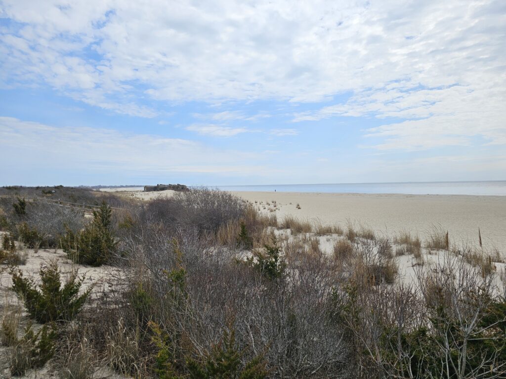a sandy beach with bushes and trees (MyCoast AI)