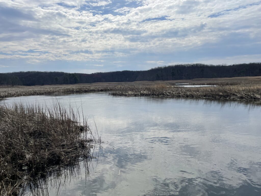 a lake with snow and trees (MyCoast AI)