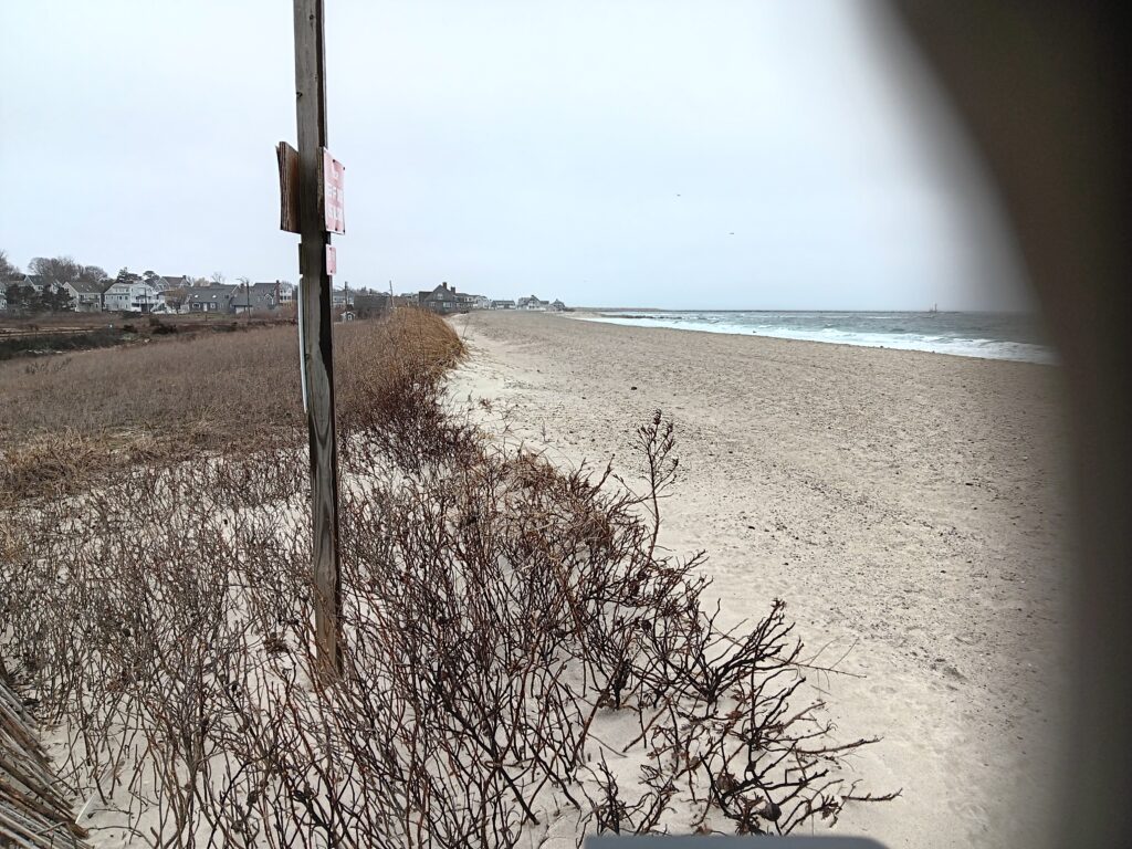 a beach with a sign (MyCoast AI)