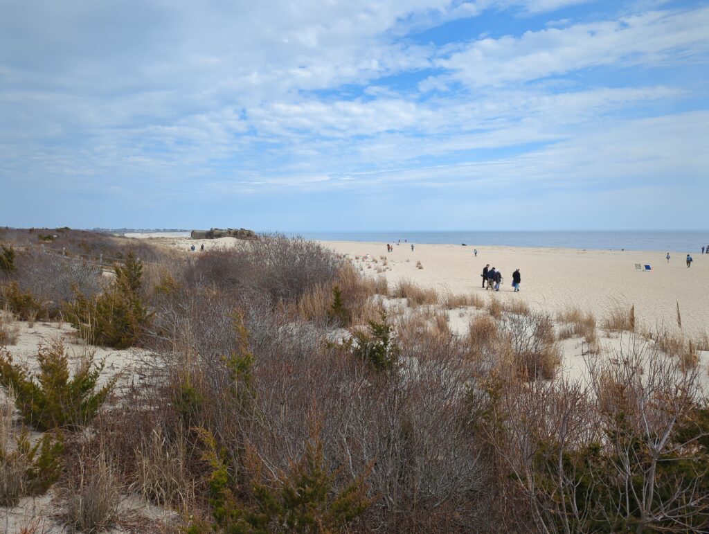 a group of people walking on a beach (MyCoast AI)