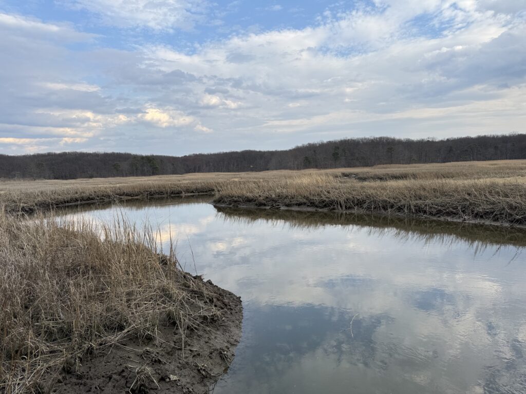 a body of water with grass and trees around it (MyCoast AI)