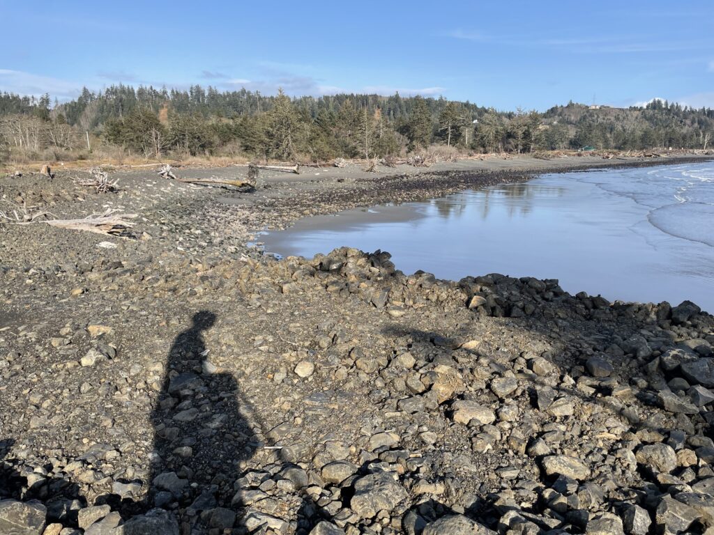 a rocky shore with a body of water and trees in the background (MyCoast AI)