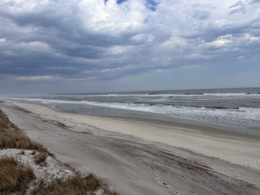 a beach with waves crashing on it (MyCoast AI)