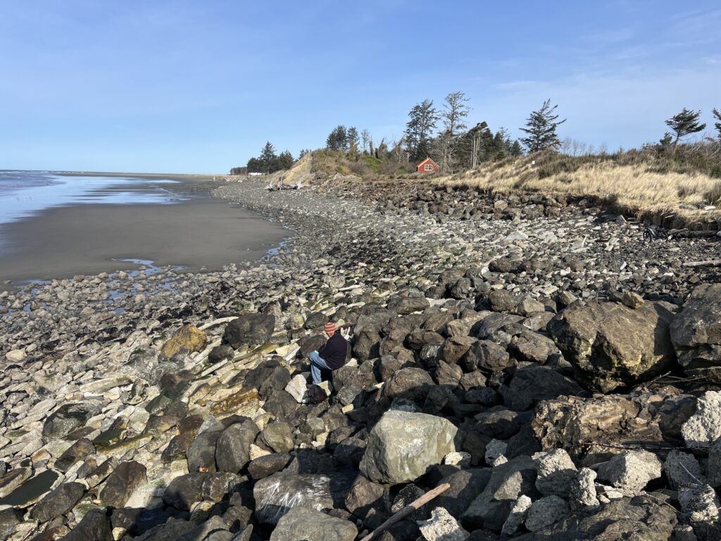 a person sitting on a rocky beach (MyCoast AI)