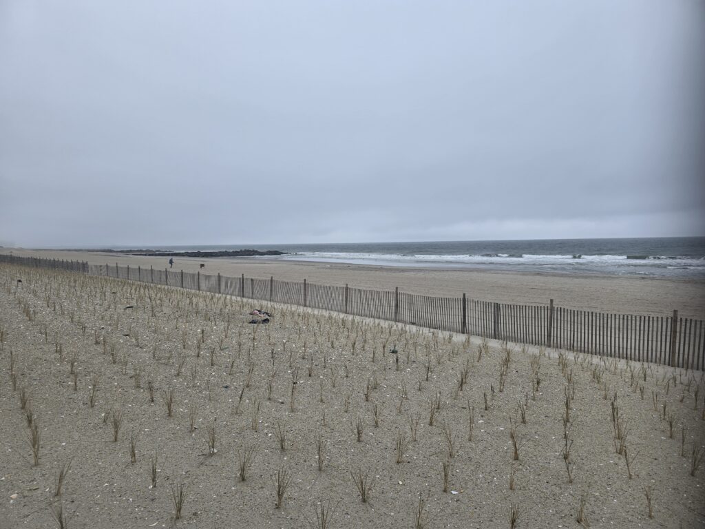 a sandy beach with a fence (MyCoast AI)