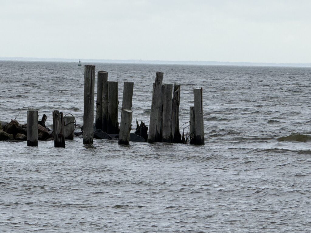 a group of wooden posts in the water (MyCoast AI)