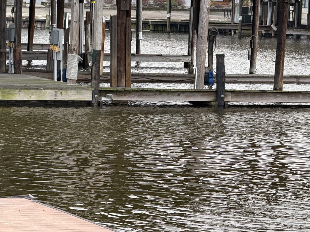 a flooded area with wooden pillars (MyCoast AI)
