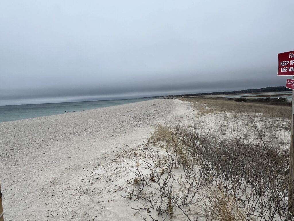 a beach with snow (MyCoast AI)