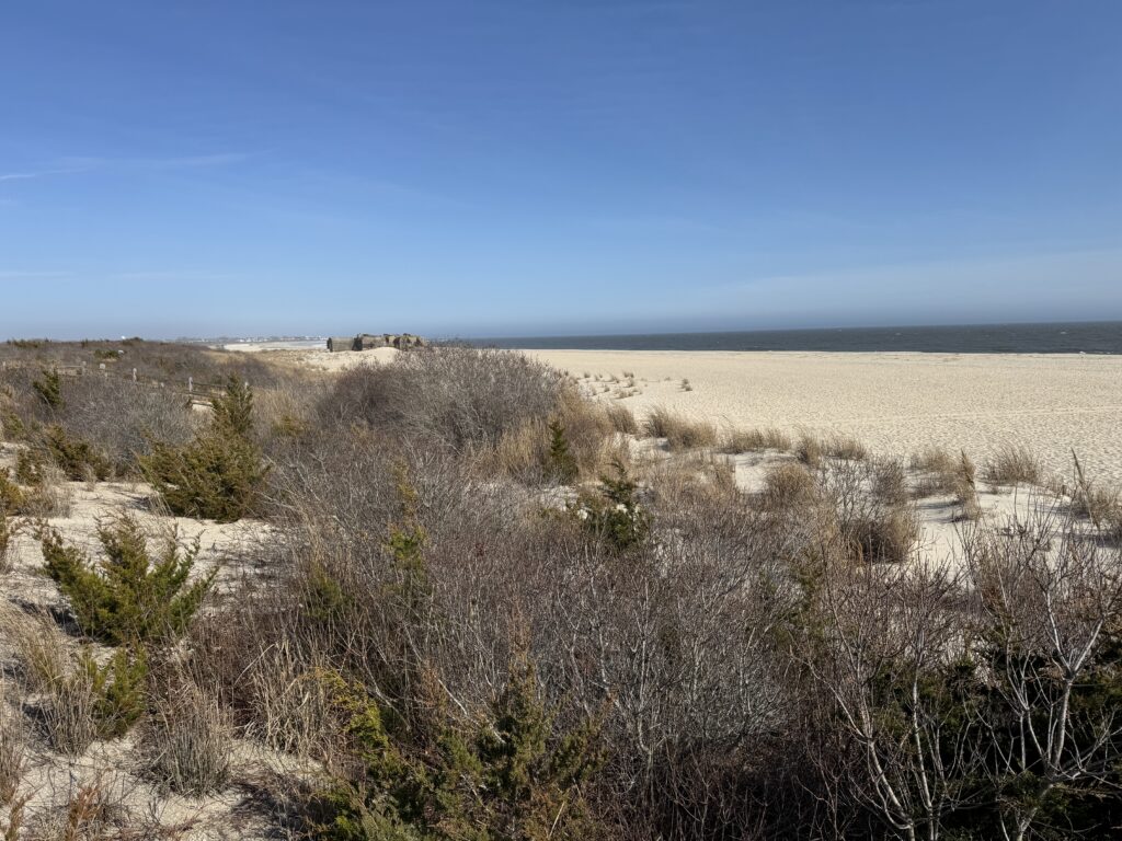 a desert landscape with bushes (MyCoast AI)