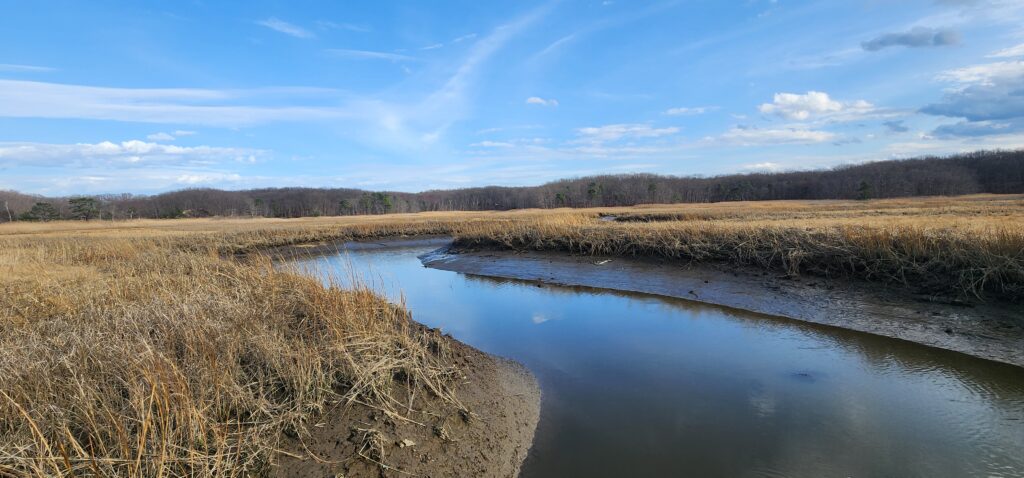 a river with grass and trees on the side (MyCoast AI)