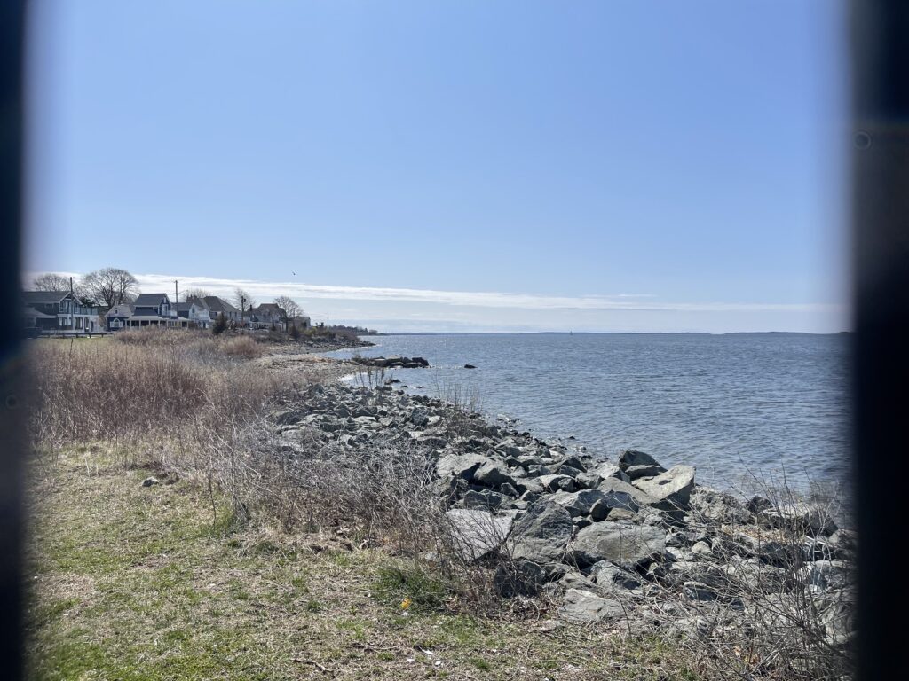 a rocky beach with houses in the background (MyCoast AI)
