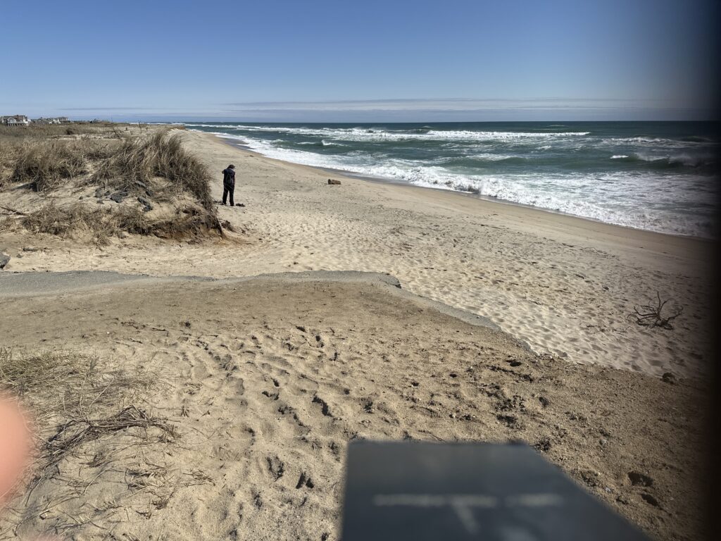 a person walking on a beach (MyCoast AI)