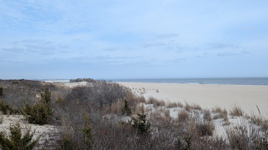 a sandy beach with bushes and trees (MyCoast AI)