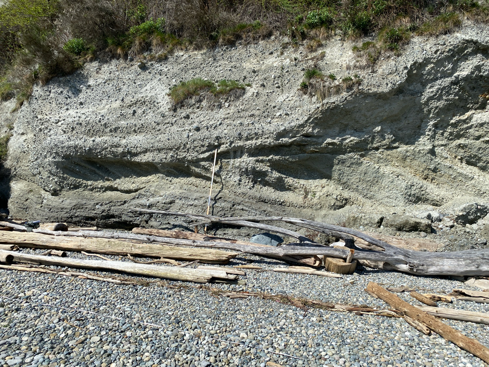a rocky river bed (MyCoast AI)