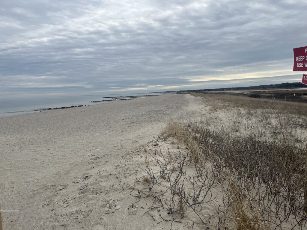 a sandy beach with bushes and a sign (MyCoast AI)