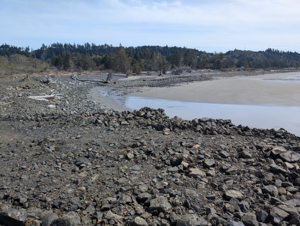 a rocky beach with trees in the background (MyCoast AI)
