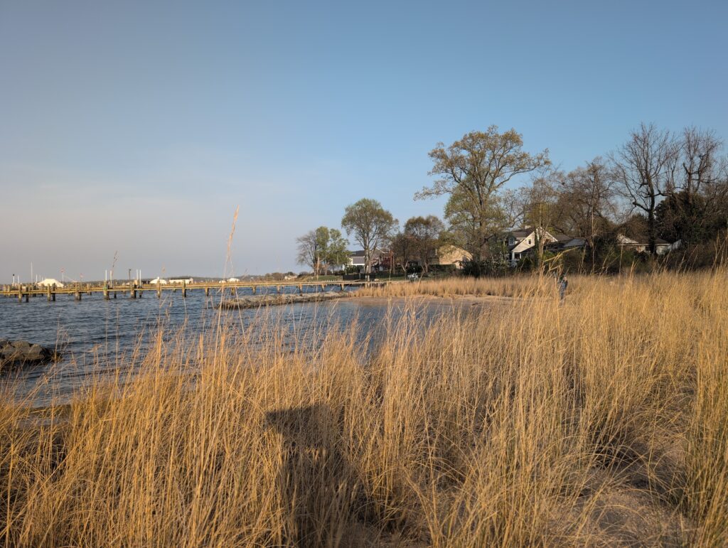 a body of water with grass and trees around it (MyCoast AI)