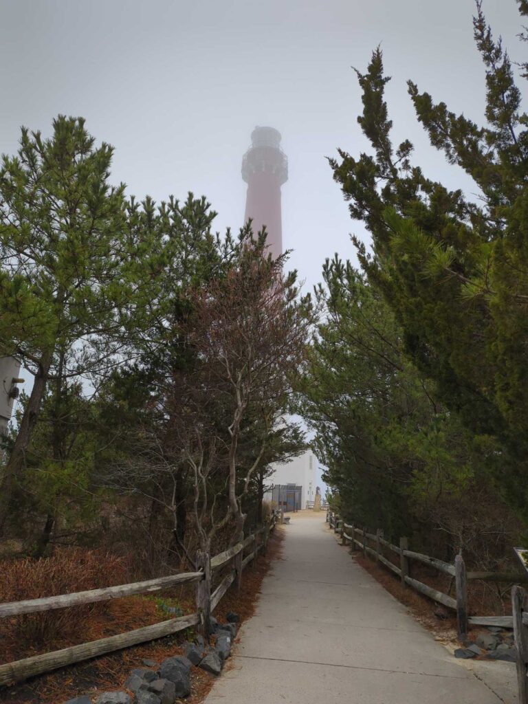 a path with trees and a tower in the background (MyCoast AI)