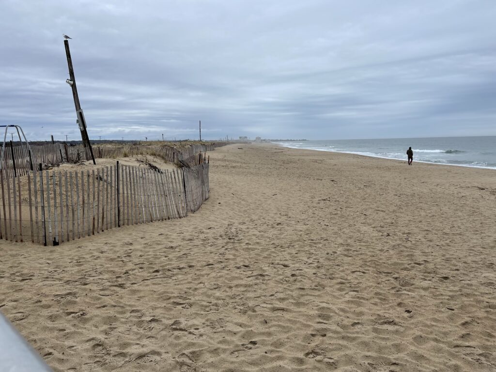 a person walking on a beach (MyCoast AI)